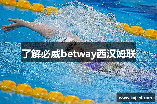 了解必威betway西汉姆联